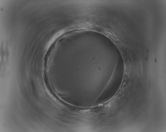 X0000062170054200512161301