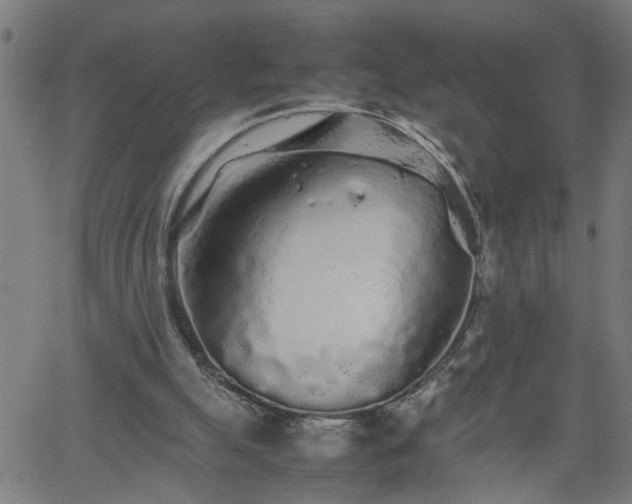 X0000062170055200512161301