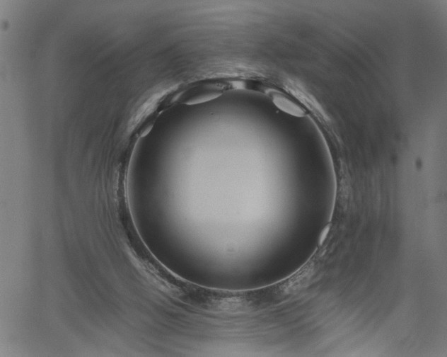 X0000062170058200512161301