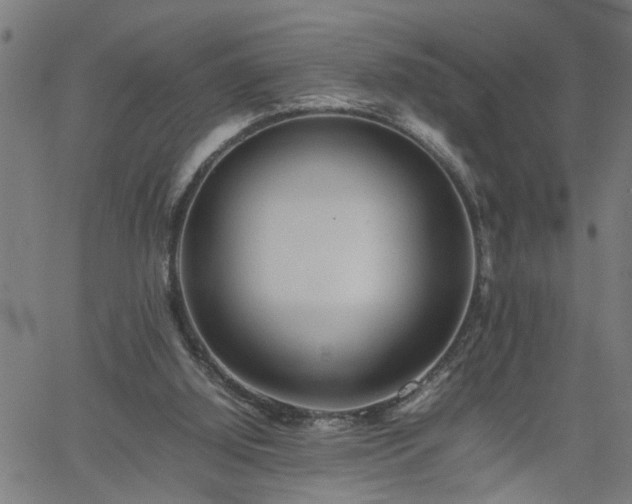 X0000062170060200512161301