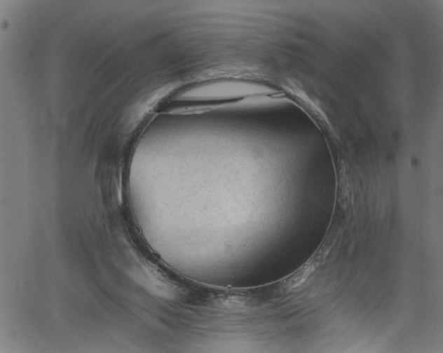 X0000062170062200512161301