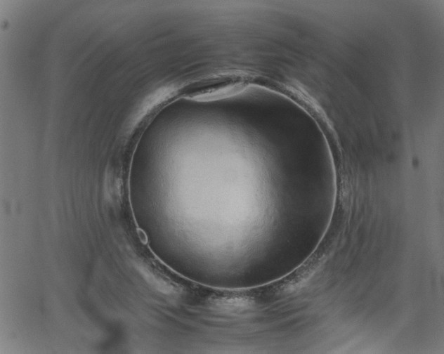 X0000062170063200512161301