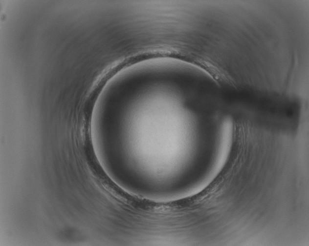 X0000062170064200512161301