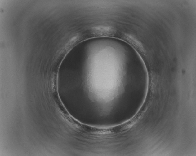 X0000062170065200512161301