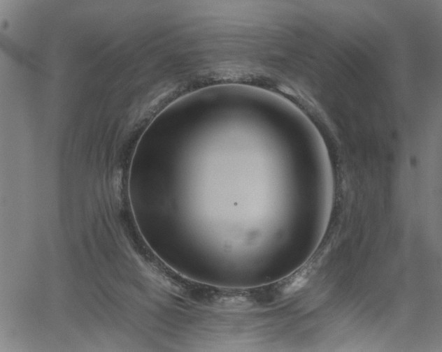 X0000062170066200512161301