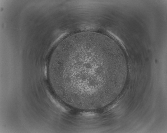 X0000062170067200512161301