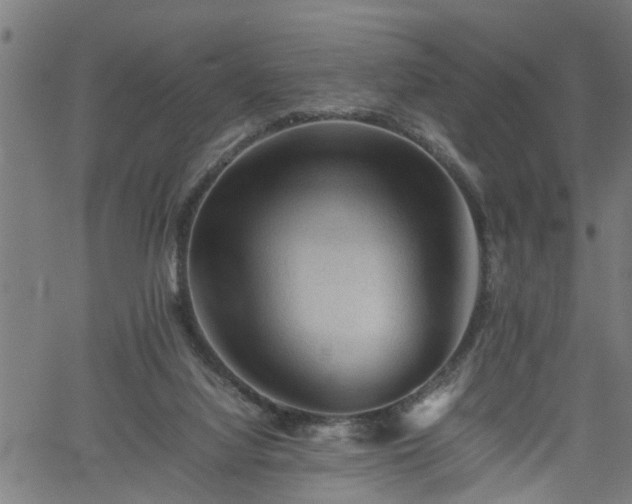 X0000062170068200512161301