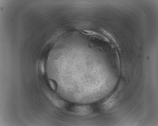 X0000062170069200512161301