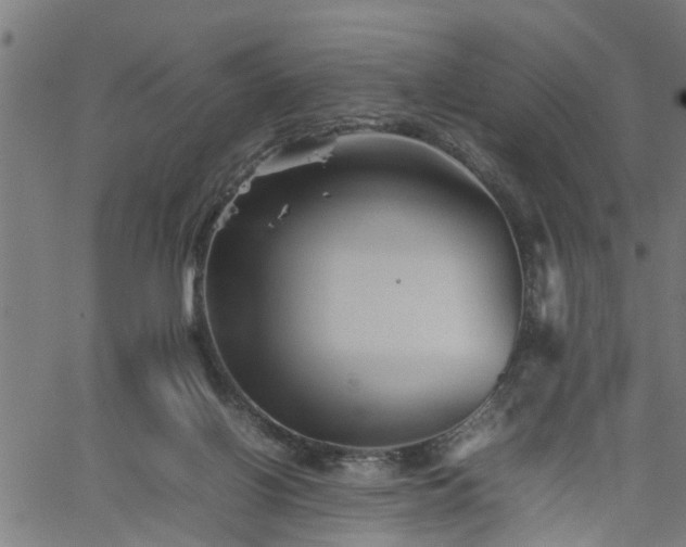 X0000062170070200512161301