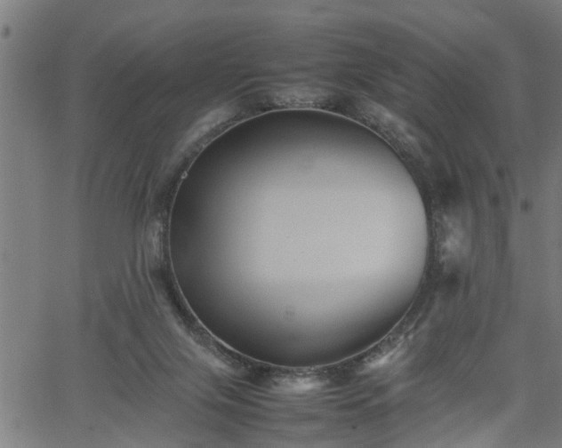 X0000062170071200512161301