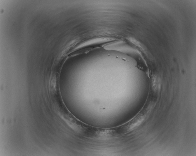 X0000062170072200512161302