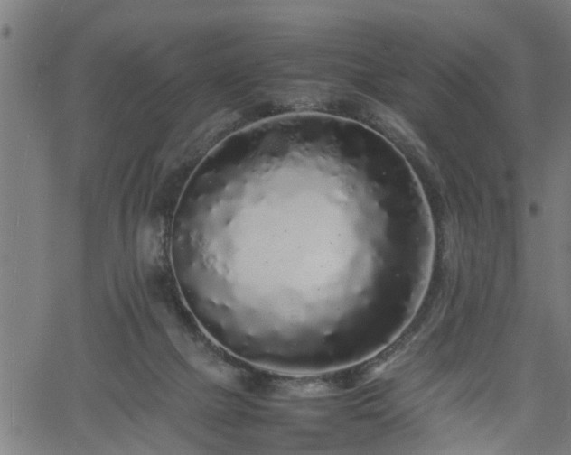 X0000062170073200512161302