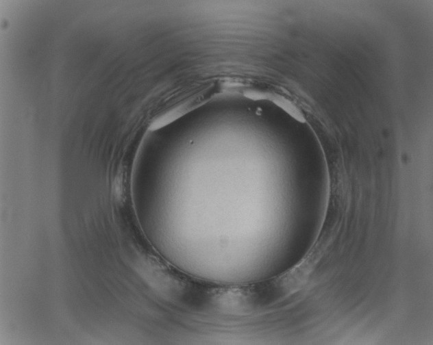 X0000062170074200512161302