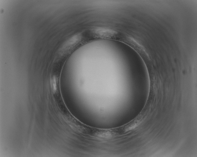 X0000062170075200512161302