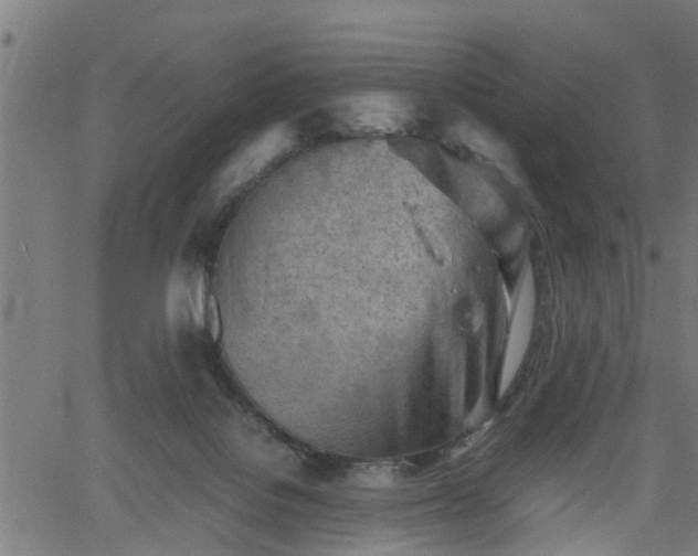 X0000062170076200512161302