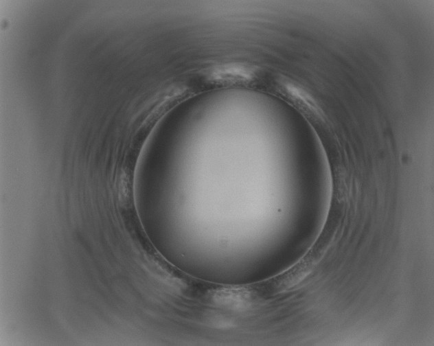 X0000062170077200512161302