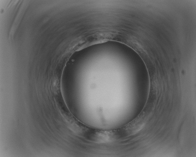 X0000062170079200512161302