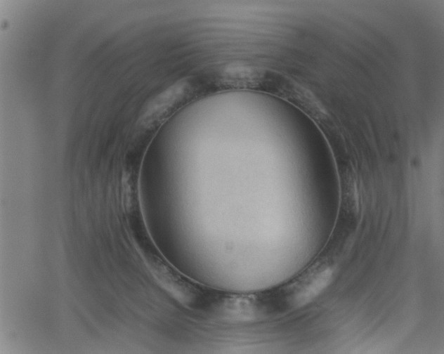 X0000062170080200512161302