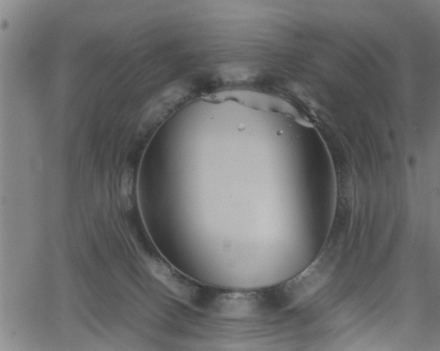 X0000062170082200512161302