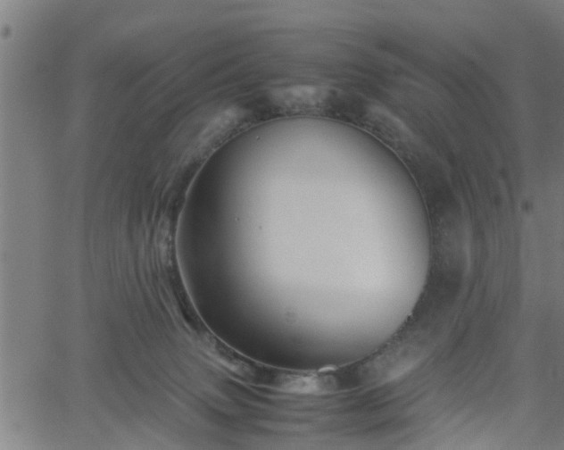 X0000062170083200512161302