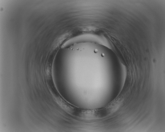 X0000062170084200512161302