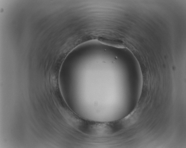 X0000062170086200512161302