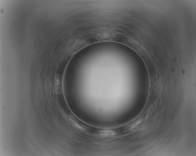 X0000062170087200512161302