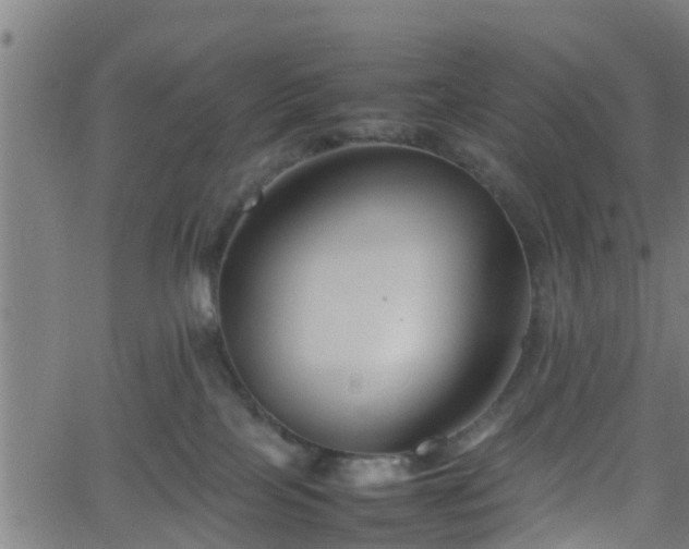 X0000062170089200512161302