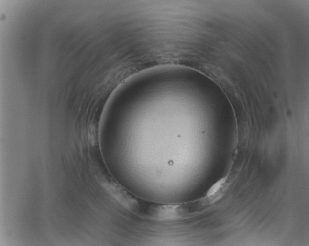 X0000062170090200512161302