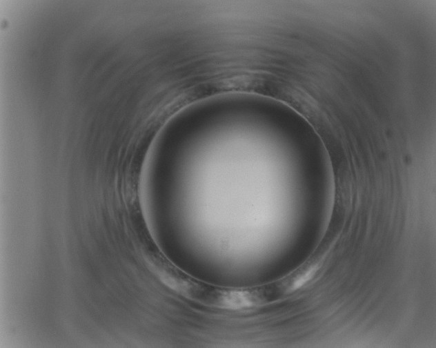 X0000062170091200512161302