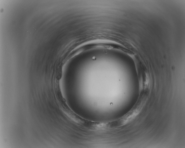 X0000062170092200512161302