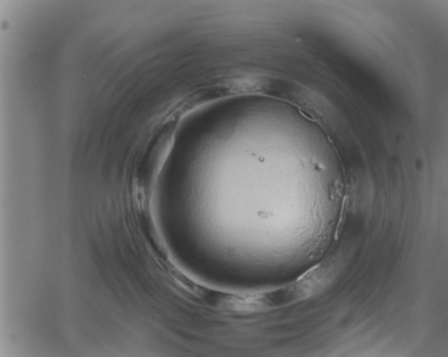 X0000062170093200512161302