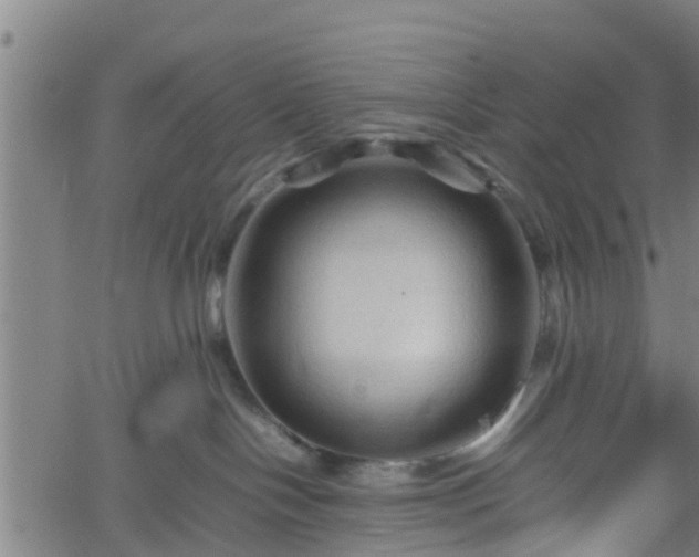 X0000062170094200512161302