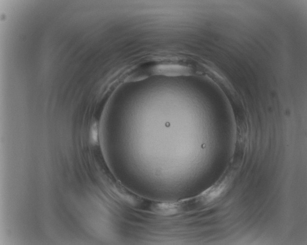 X0000062170095200512161302