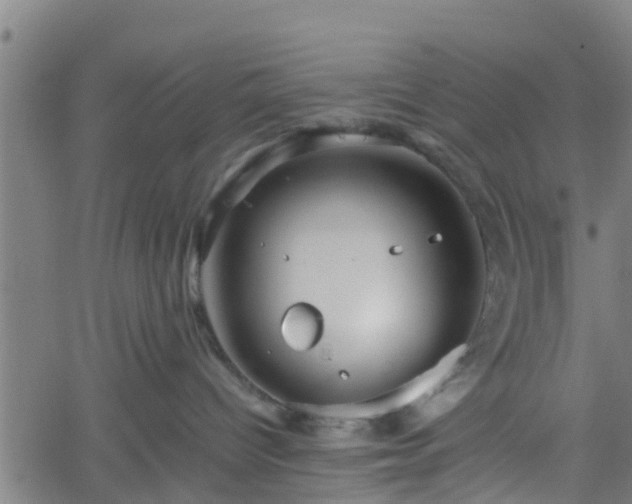 X0000062170096200512161302