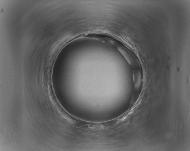 X0000062170097200512161301