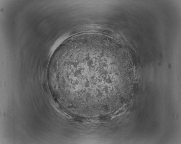 X0000062170099200512161301