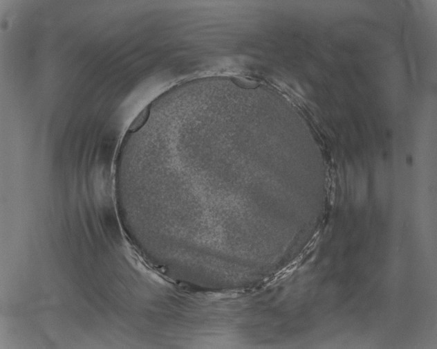 X0000062170100200512161301