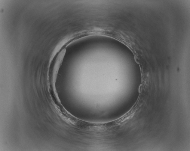 X0000062170102200512161301