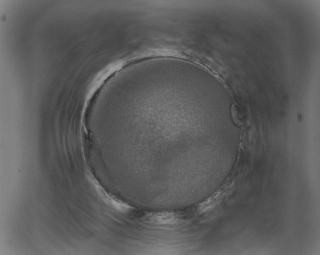 X0000062170104200512161301