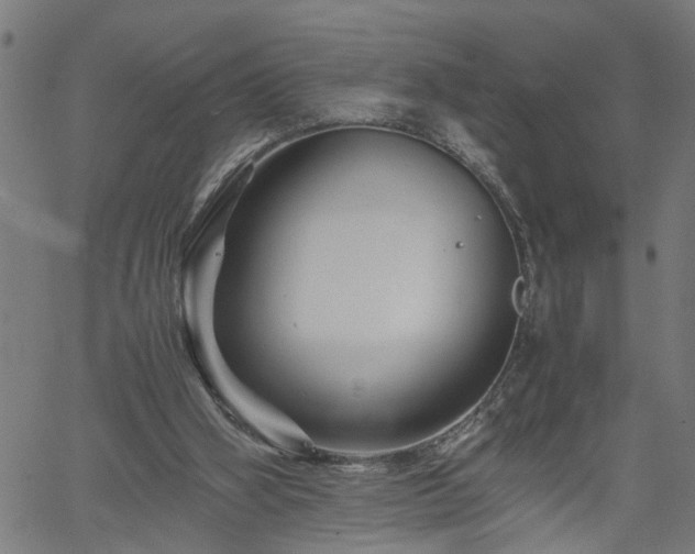 X0000062170106200512161301