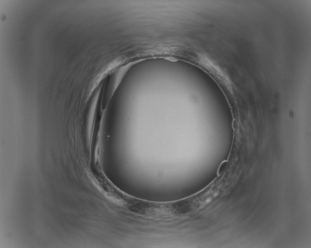 X0000062170107200512161301