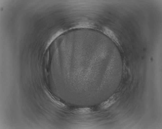 X0000062170108200512161301