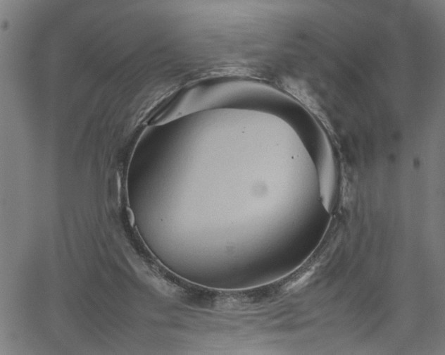 X0000062170109200512161301