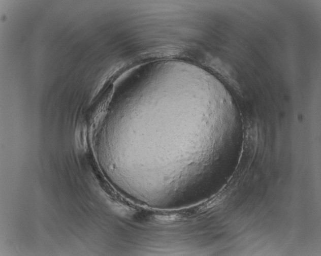 X0000062170110200512161301