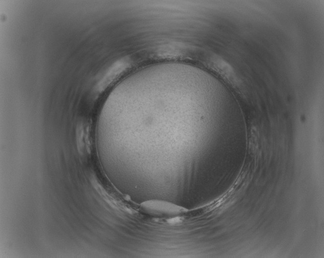 X0000062170116200512161301