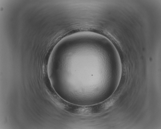 X0000062170117200512161301