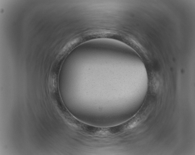 X0000062170119200512161301