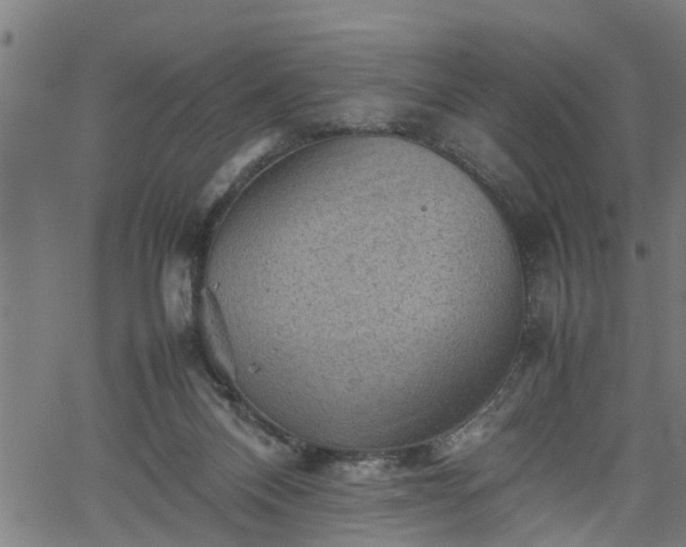 X0000062170120200512161301