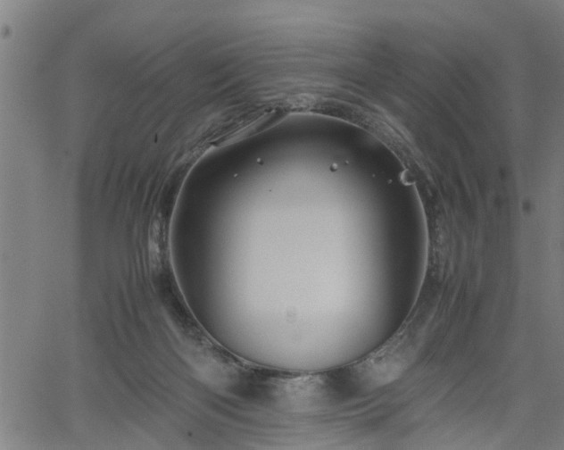 X0000062170122200512161301